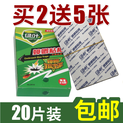 【灭虫灭蟑】蟑螂屋蟑螂贴家用款