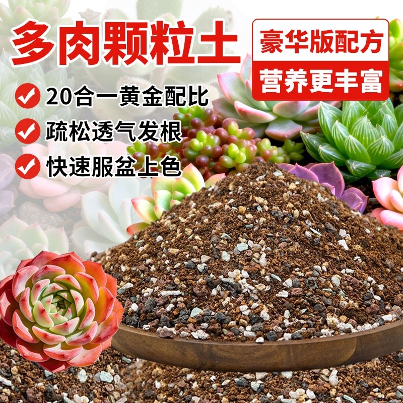 多肉专用颗粒土多肉土营养土壤种植土思威博花土盆栽纯颗粒铺面石