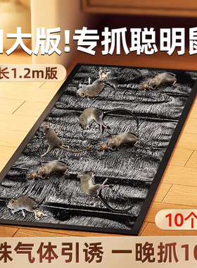 老鼠粘强力粘鼠板超强大号胶粘大老鼠灭鼠魔毯捕鼠神器一窝正品端