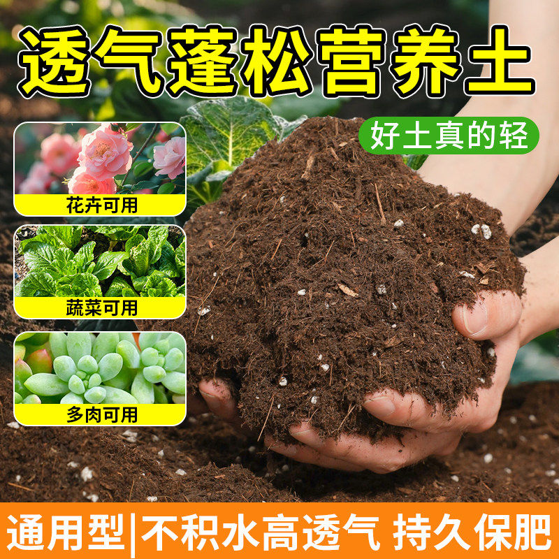 营养土养花专用通用家用种菜土泥土多肉绿萝园艺土种植土壤种植土