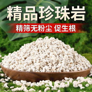 养花专用珍珠岩颗粒保温透气多肉蛭石园艺种植育苗兰花专用营养土