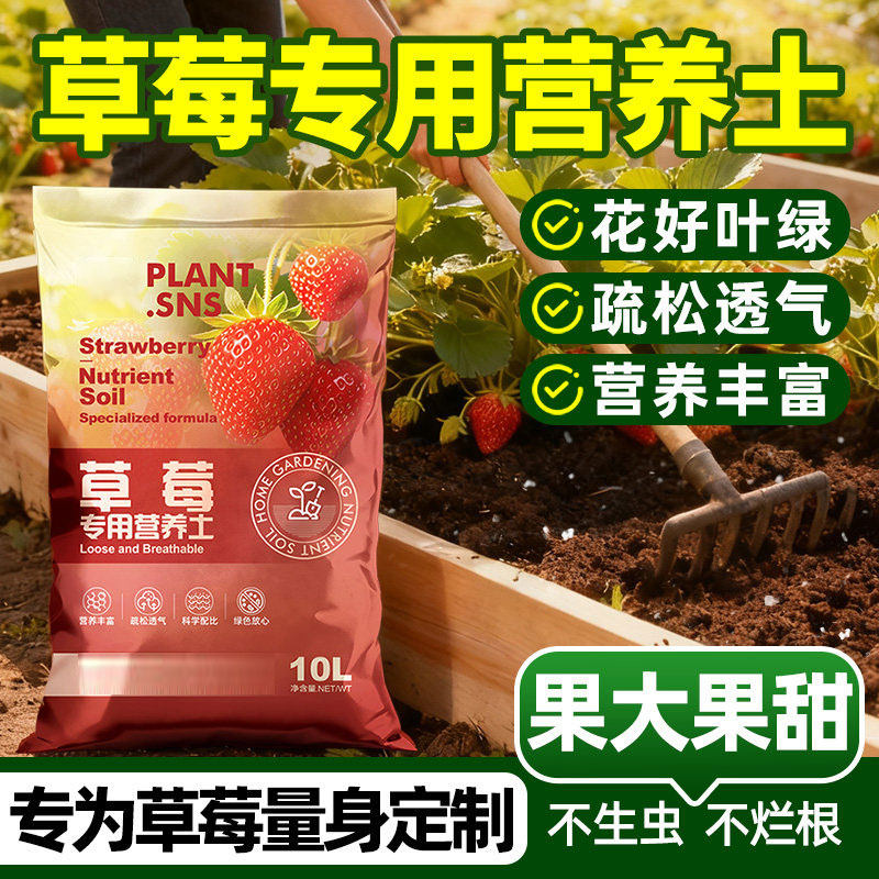 草莓专用营养土阳台盆栽有机肥料草莓专用肥疏松透气植物种植优质