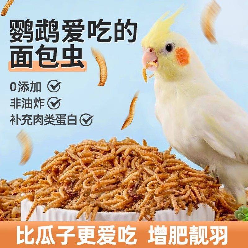 鹦鹉专用面包虫干奖励零食虎皮牡丹玄凤小太阳八哥鸟用品鸟粮饲料,宠物/宠物食品及用品,鸟食,淘宝优惠券,粉丝福利购,淘宝优惠卷