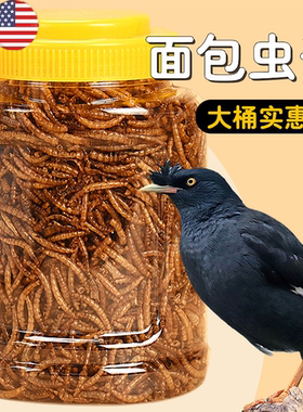 【八哥鸟食】饲料零面包虫干鸟粮