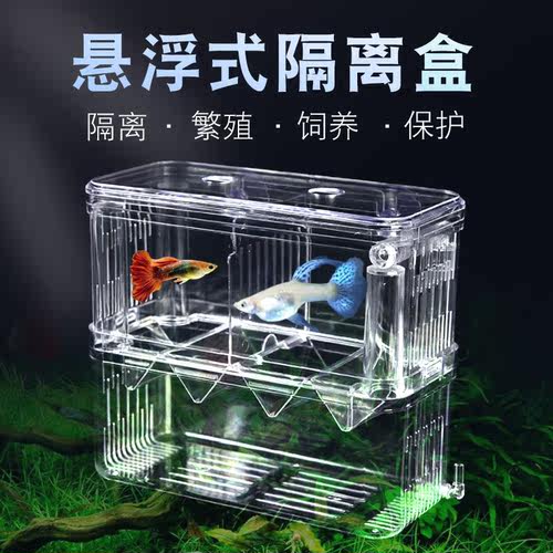 悬浮式热带鱼独立产房孵化盒