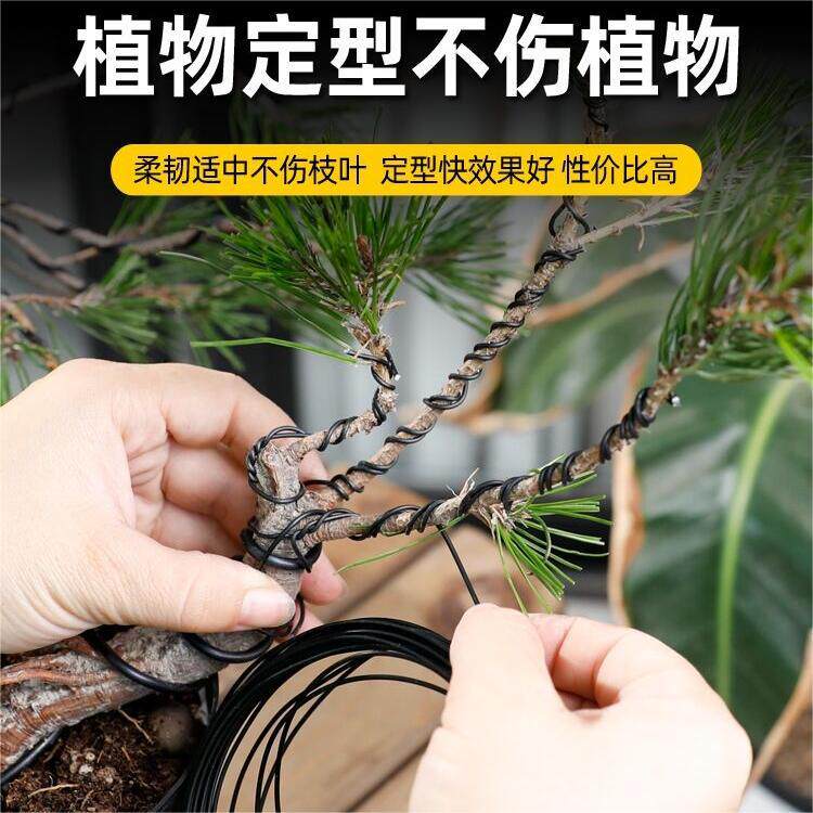 盆景造型铝丝园艺植物定型铝线手工DIY盆景吕线专用整形扎枝条软