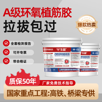 A级环氧植筋胶桥梁加固锚固剂