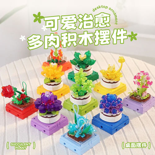 多肉积木花情人节礼物教师节