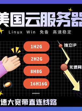 美国云服务器租用CN2GIA独立大宽带轻量云宝塔面板建站高防云主机