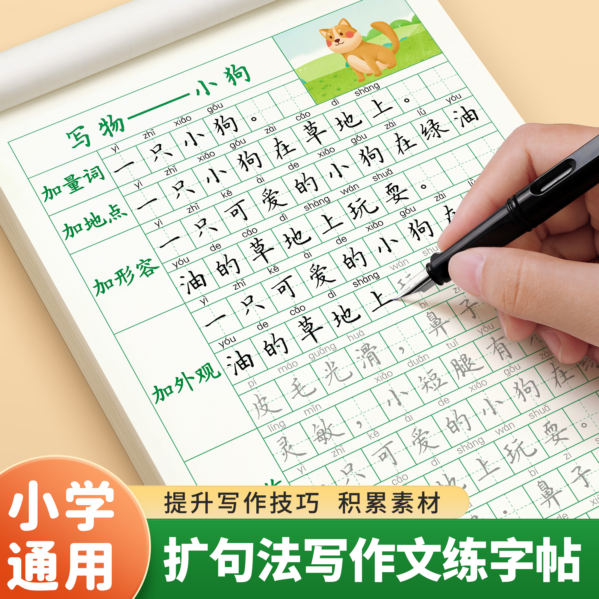 扩句法写作文练字帖小学生