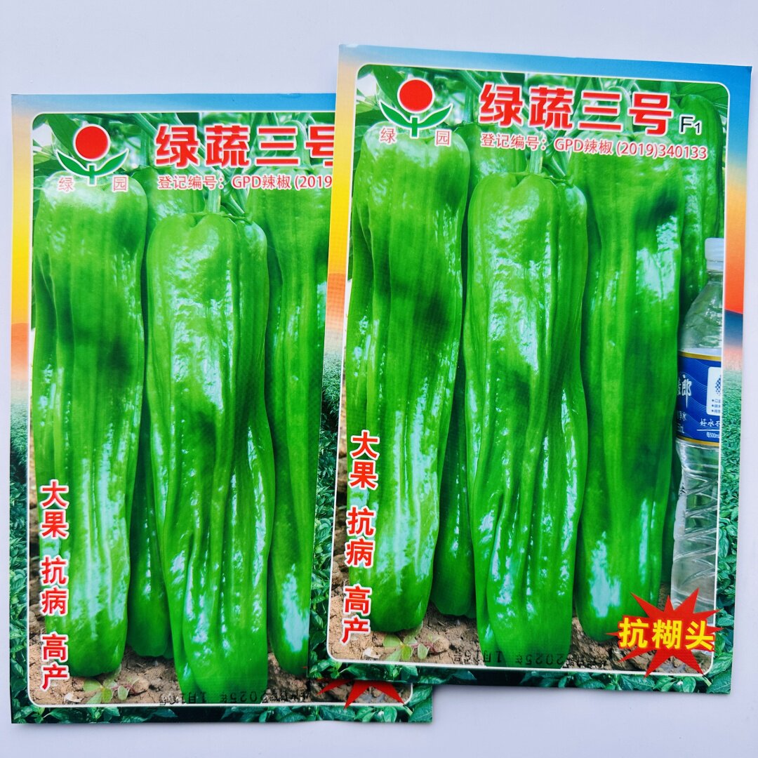 绿蔬三号辣椒种子早熟抗病高产大果灯笼椒种籽春秋播薄皮椒种味辣