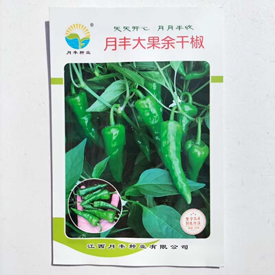 月丰大果余干椒辣椒种子极早熟辣味香浓春秋播薄皮小辣椒尖椒种籽