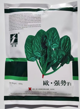 时田欧强势菠菜种子早熟速生蔬菜种籽宽大叶肥厚浓绿春秋播种高产