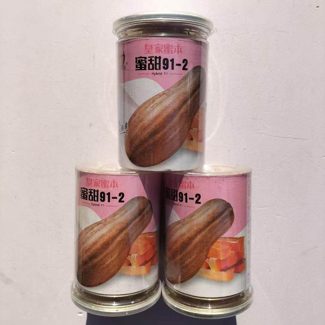 信研甜蜜19-2蜜本南瓜种子大果甜面肉厚蜜本南瓜倭瓜种子籽孑大田