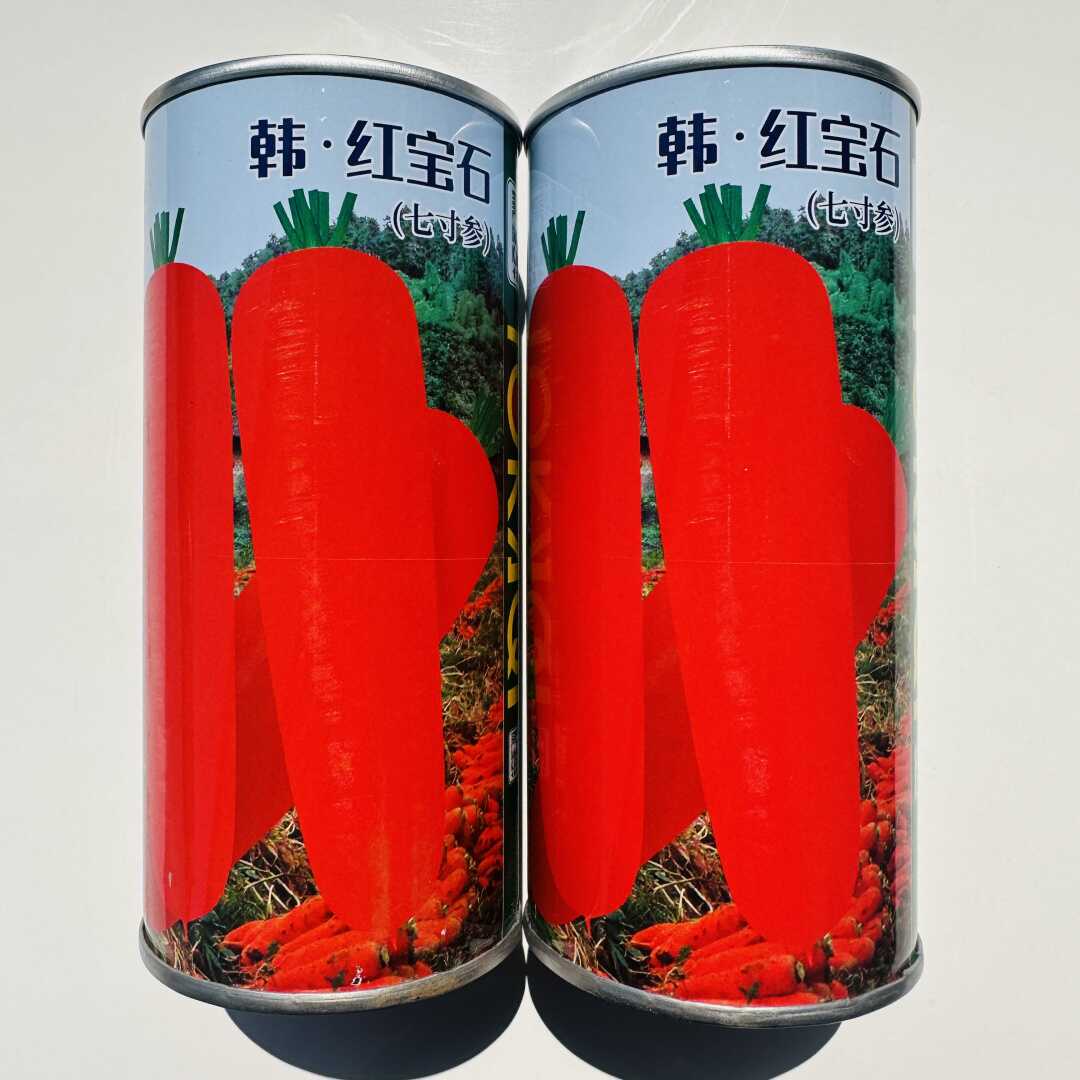 韩红宝石胡萝卜种子夏秋季播种七寸参红皮红肉胡萝卜种籽蔬菜种子