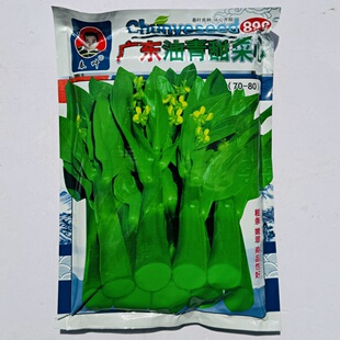 广东油青甜菜心种子速生四九菜心种子红菜苔孑白菜苔四季蔬菜种籽