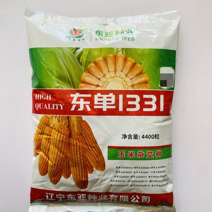 玉米杂交种东单1331饲料玉米种子高产抗病抗倒不秃顶4400粒株型好