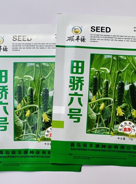 田骄六号大刺黄瓜种子脆甜清香水果黄瓜种籽强雌性抗病耐热春夏秋