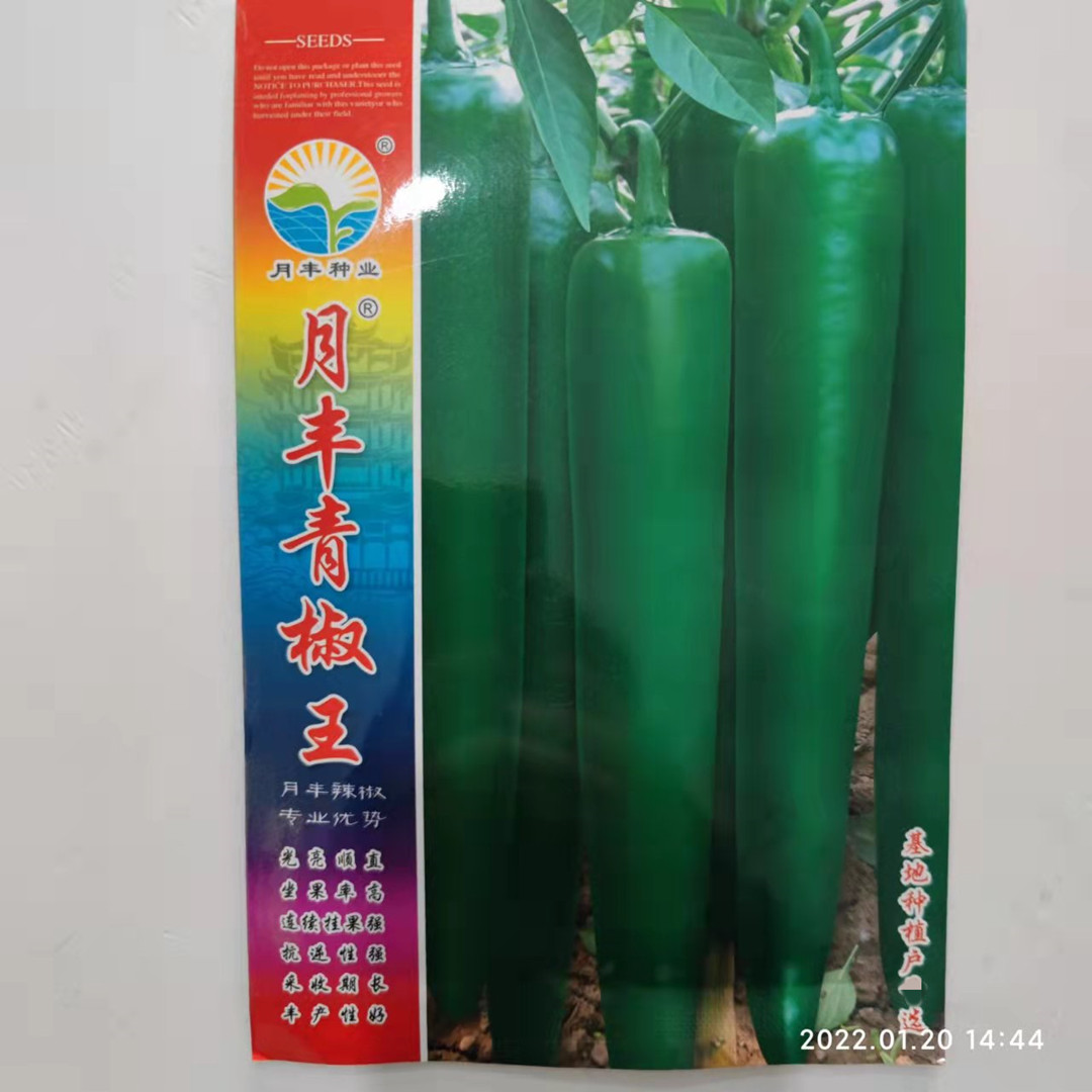 月丰青椒王辣椒种子牛角椒杂交品种抗病耐贮运菜农基地专用品种孑