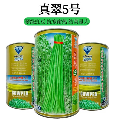 真翠5号长豇豆种子早中熟翠绿多荚小五叶肉厚长豆角种籽春秋季播