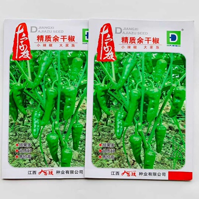 精质余干椒小辣椒种子极早熟皮薄味辣小青椒种籽春秋播种蔬菜种子