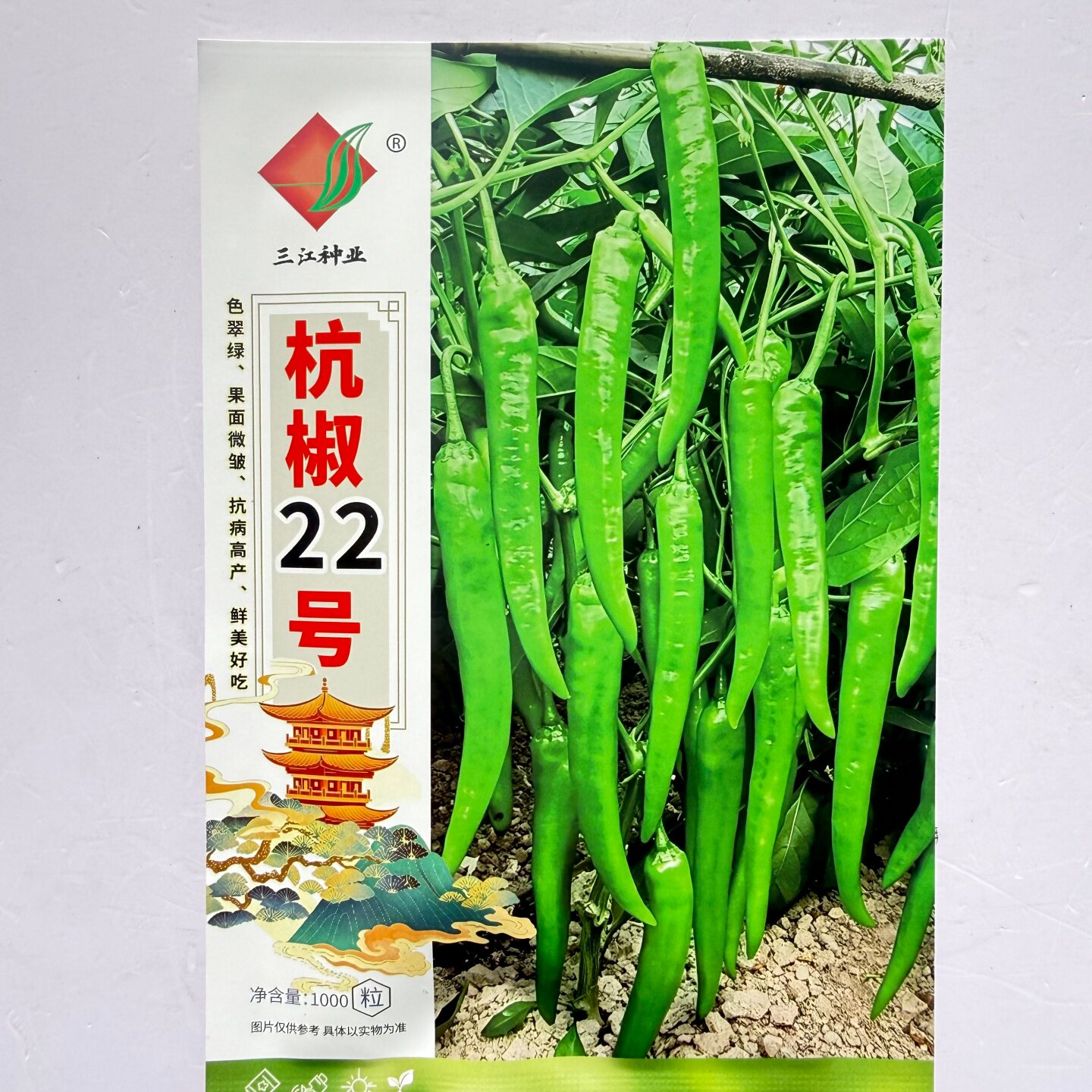 三江杭椒22号种子翠绿微皱杭椒蔬菜种子/种苗