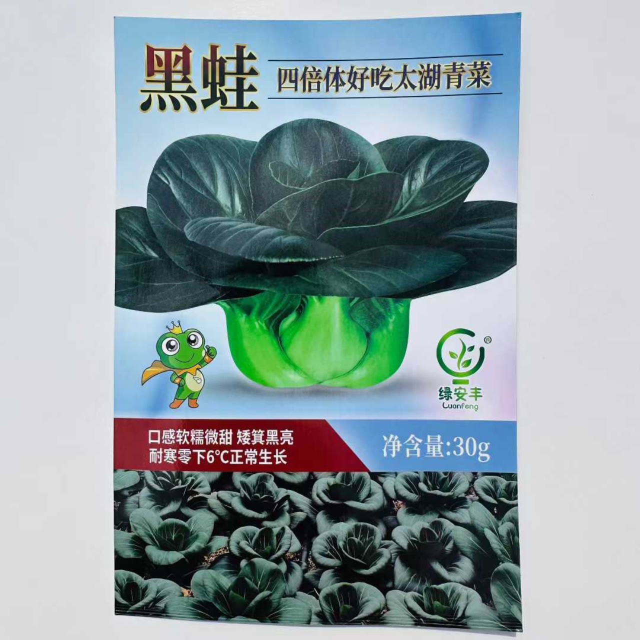 黑蛙青菜种子四倍体好吃太湖青菜种籽春秋播特矮青梗菜苏州青种籽