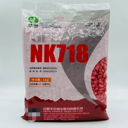 丰乐种业NK718杂交玉米种子国审白轴半马齿黄籽1公斤饲料玉米种籽