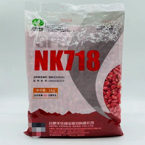 丰乐种业NK718饲料玉米种子