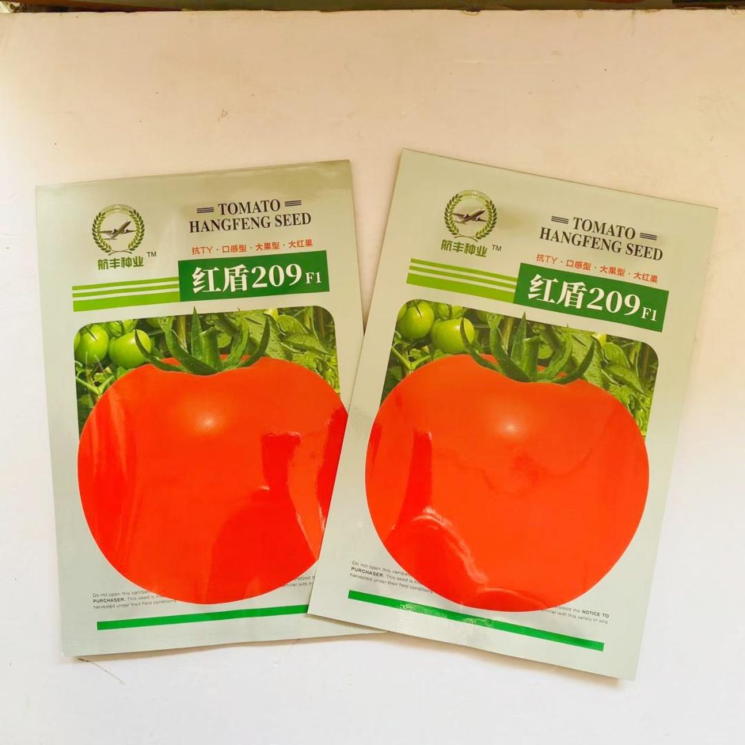 209番茄种子抗病耐贮运