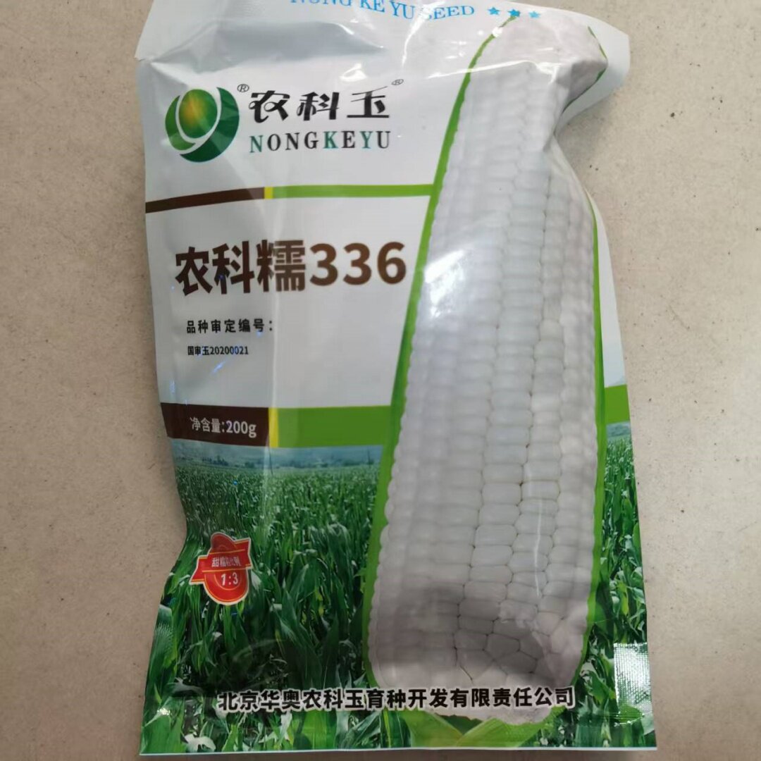 农科糯336农科玉368京科糯2016京科糯2000白甜糯玉米种子种籽国审 - 实物图