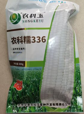 玉米种子农科糯336农科玉