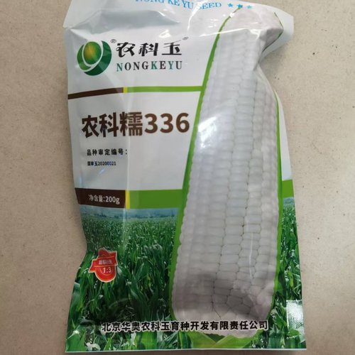 玉米种子农科糯336农科玉