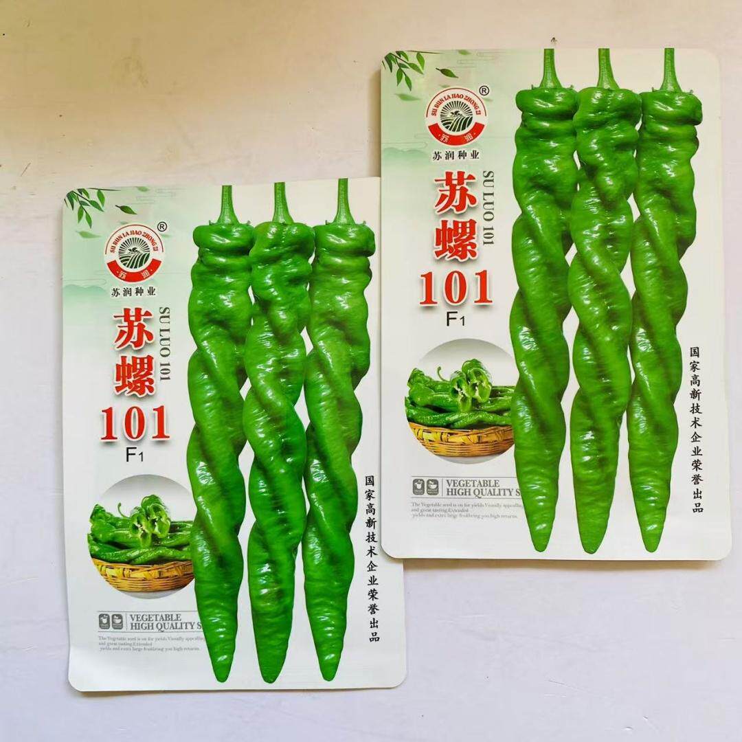 螺丝椒种子抗寒抗病高产