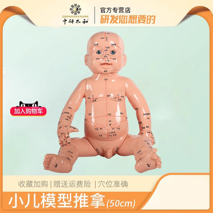 小儿推拿模型培训娃娃带穴位仿真按摩婴儿中医人体经络教学用全身