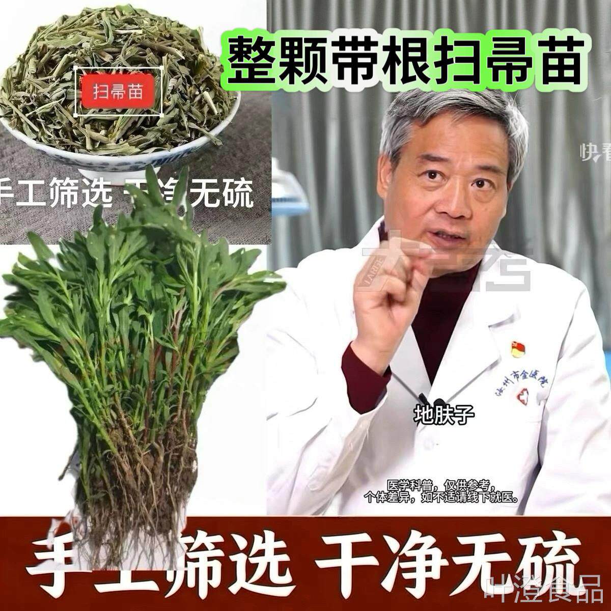 扫帚苗中材扫帚草地肤子煮水身上痒外洗方擦洗药带状泡整株带根wa