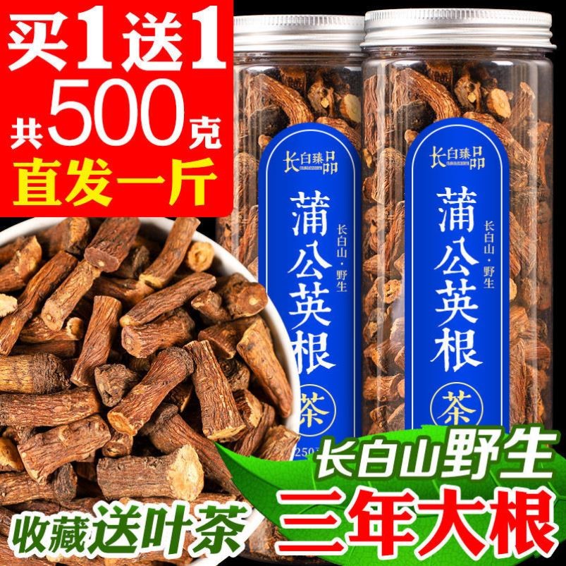 长白山天然纯婆婆丁蒲公英根茶