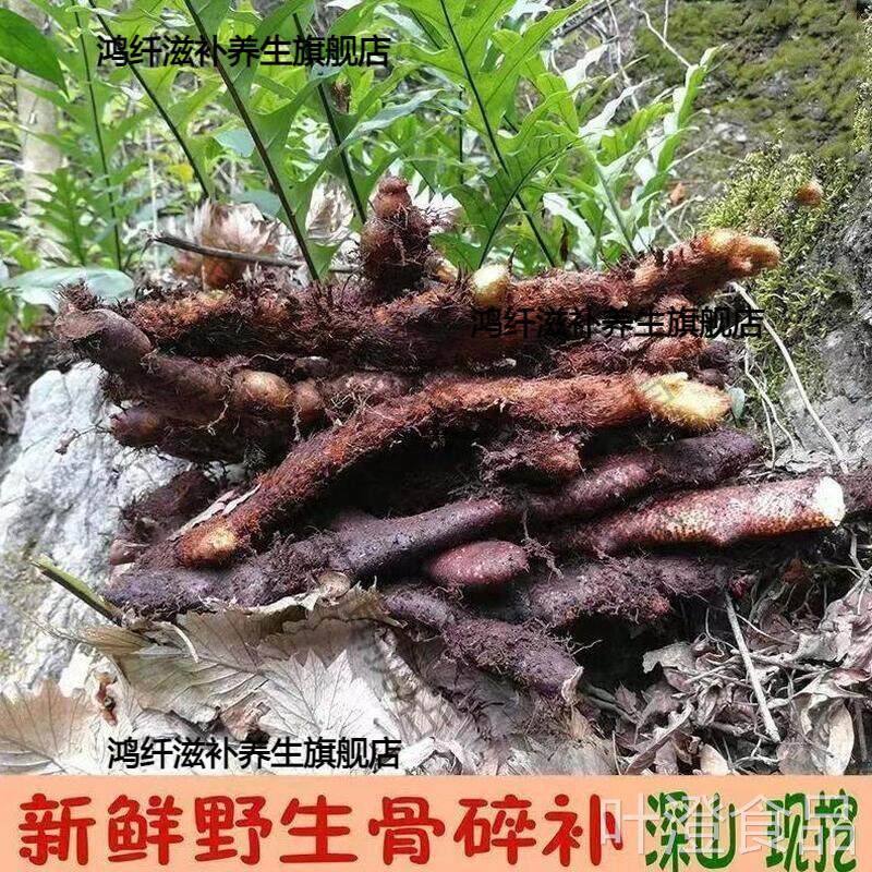 州深山野生中药材骨碎补爬岩姜新鲜石岩姜贵猴姜申姜肉碎补500gwa