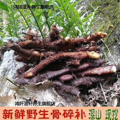 州深山野生中药材骨碎补爬岩姜新鲜石岩姜贵猴姜申姜肉碎补500gwa
