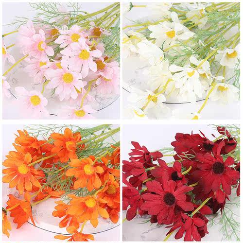 餐厅格桑花价格 餐厅格桑花图片 星期三