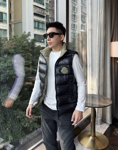 玛雅立领马甲痞帅男装90白鸭绒立领百搭保暖羽绒坎肩外套25358