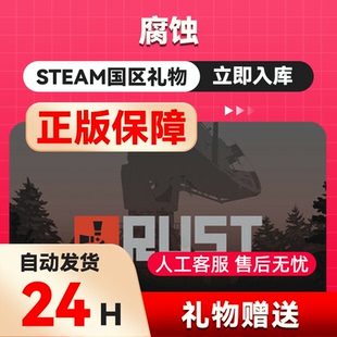 steam正版  腐蚀  好友礼物 国区礼物    正版礼物