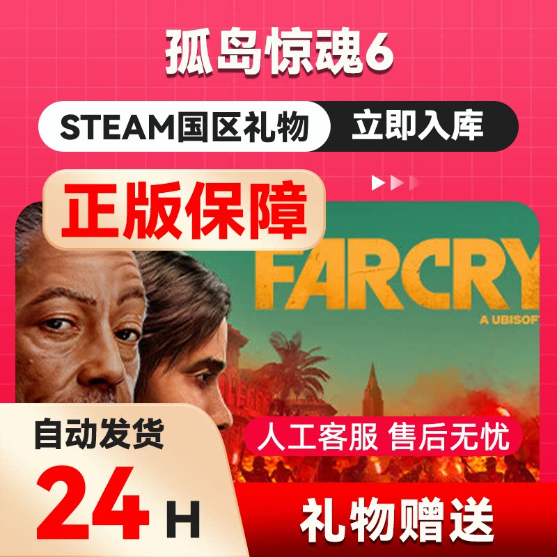 steam正版  孤岛惊魂6 好友礼物 国区礼物    正版礼物
