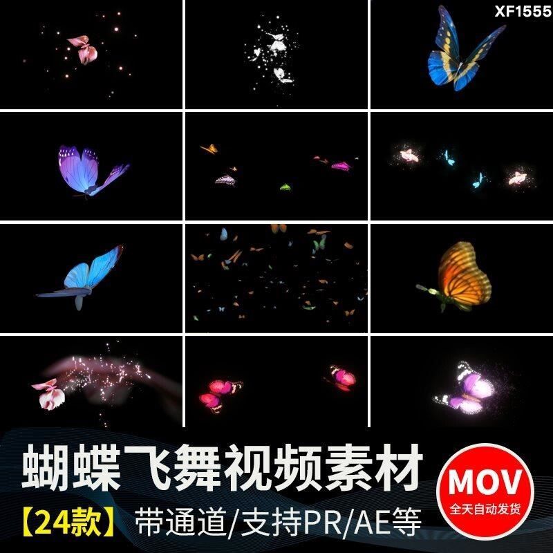 蝴蝶飞舞拖尾效果粒子后期动态pr/ae通道透明底素材