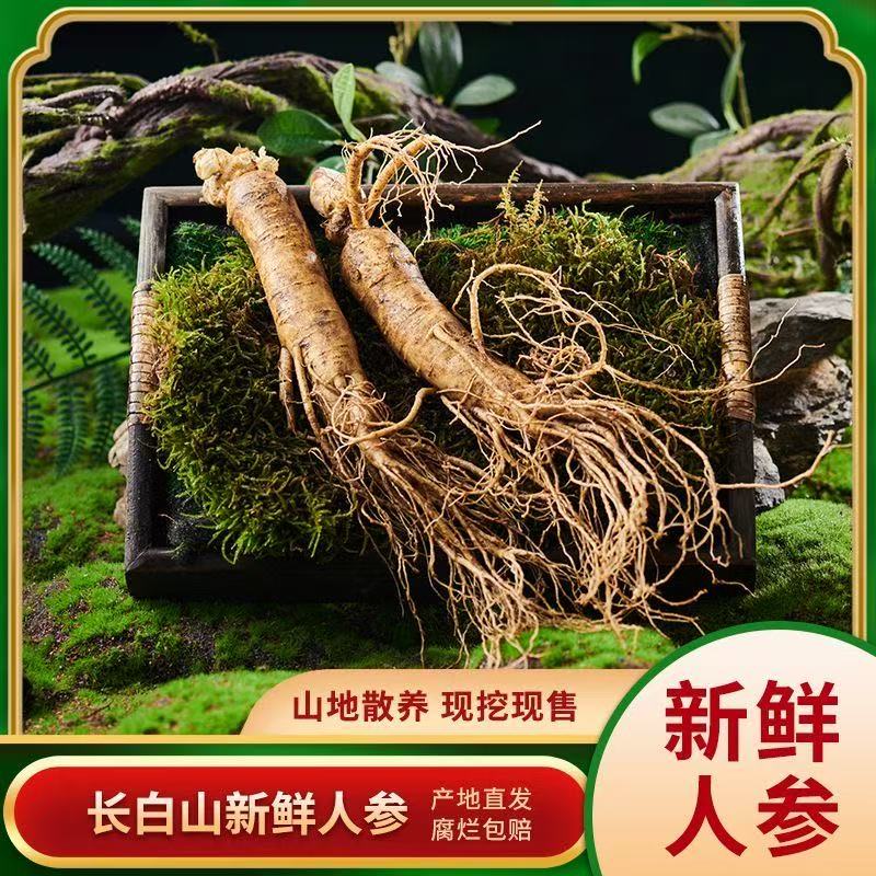 长白山吉林现挖鲜人老参整根顺丰