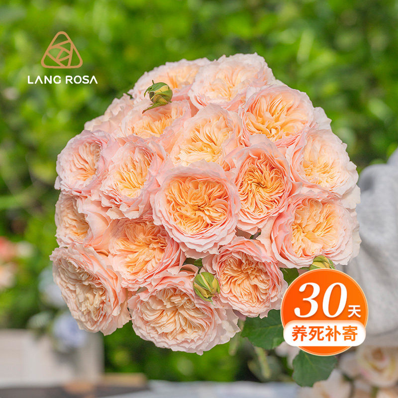 �����¼���̨ͥԺֲ����ͻ������Զ༾�����ٱ���ľ�����ǳ���� 70.92Ԫ��2��(��35.46Ԫ/��)