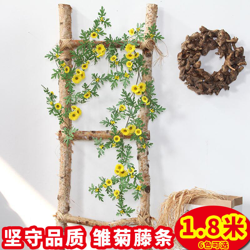 雏菊花藤小向日葵假条客