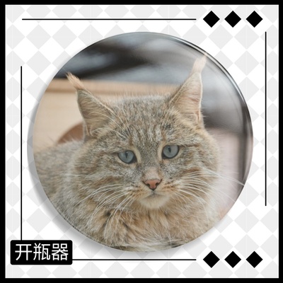 【天音文创】荒漠猫黄小桃开瓶器冰箱贴