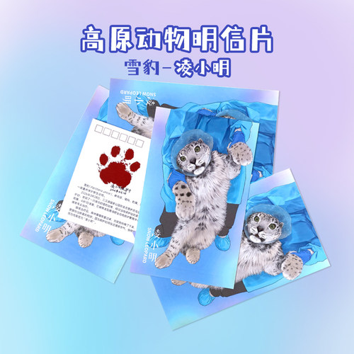 凌小明雪豹高原动物园明信片西宁野生动物园生态文创
