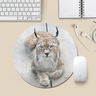 【天音文创】猞猁花园宝宝小号圆形鼠标垫